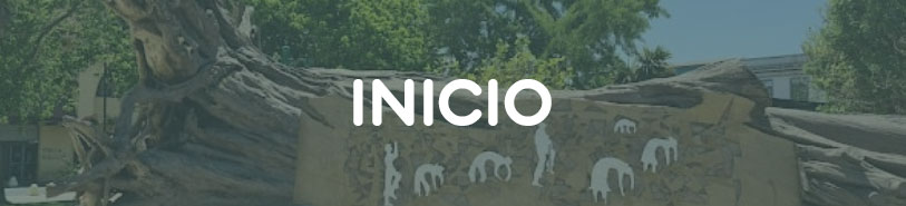 INICIOES