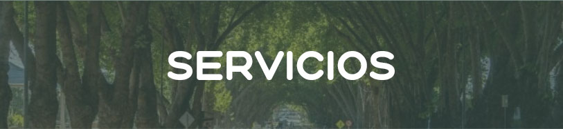 SERVICIOSES